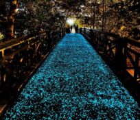 Self-illuminated bridge image
